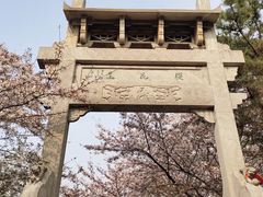 -樱花山风景区