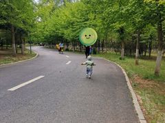 -长白岛森林公园