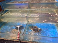 -比尔斯健康烤肉自助餐厅