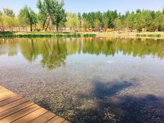 -东郊湿地公园