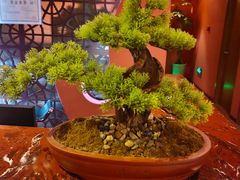 -泰融玺·泰式按摩SPA(包河万达店)