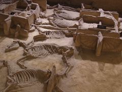 -洛阳周王城天子驾六博物馆