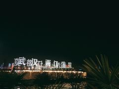 -武汉两江游览·夜游长江(汉口粤汉码头)