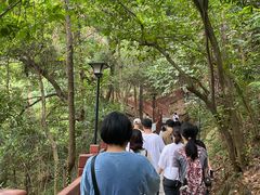 -南国桃园旅游度假区