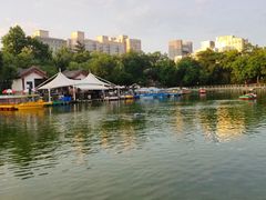 -莲湖公园