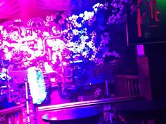 -周庄红庭演艺酒吧