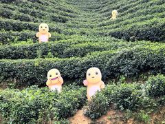 -婺源月亮湾
