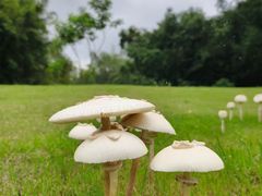-广州市白云山风景名胜区