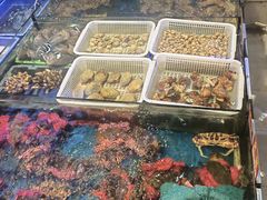 -东江海鲜大排档·潮汕菜·砂锅粥