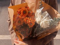 -溪岸路花鸟市场