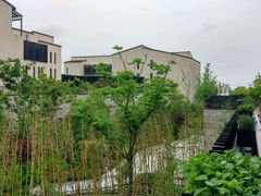 咖啡厅露台-上海崇明金茂凯悦酒店