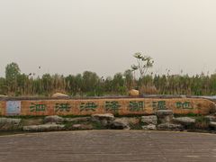 -泗洪洪泽湖湿地景区