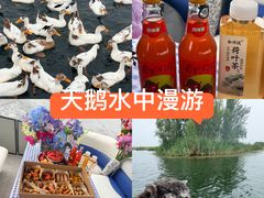 -白洋淀景区