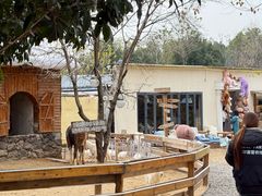 -HERRE·FARM 赫尔露营农场·团建聚会包场