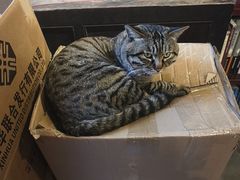 -正阳书局(西四南大街店)