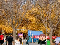 -汉景帝阳陵博物院