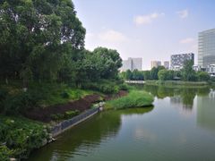 -大兴滨河森林公园