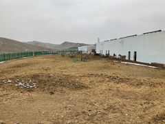 -新疆天山野生动物园