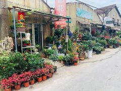 -金陵花卉交易市场