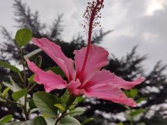 -国家植物园