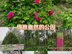 -仁和公园(顺义区)