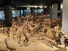 -大庆市博物馆