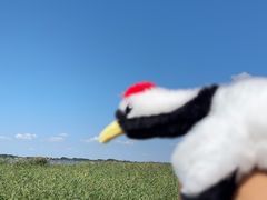 -黑龙江扎龙生态旅游区