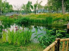 -蠡湖大桥公园
