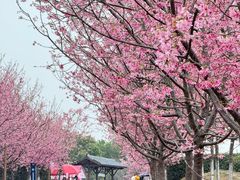 -凤凰沟景区