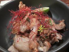 -Ocean's Table 欧舍