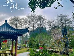 -广州神农草堂中医药博物馆