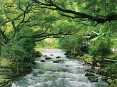 -广州市石门国家森林公园