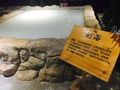 -盛彼得温泉度假酒店