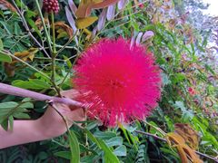 -白云山风景名胜区