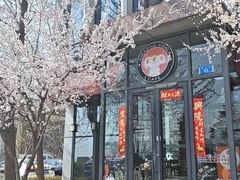 -了不起的考拉咖啡店(高新店)