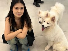 -安格丽娜·狗咖·猫咖羊驼咖(春熙路百盛商场店)