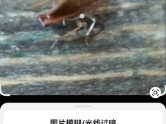 -巴犀烧烤(新崇光店)