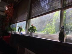 靠窗位-熙春园餐厅