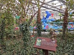 -南宫五洲植物乐园