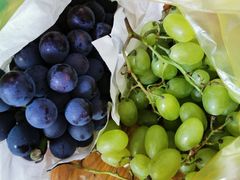 -江杨农产品批发市场