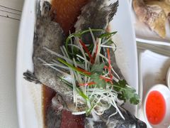 -南庄酒家·海鲜粤菜·25年老字号(环城南路店)