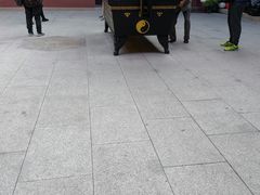 -上海白云观