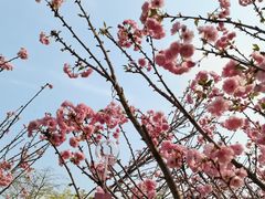 -恒大世纪梦幻城