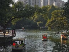 -晓港公园