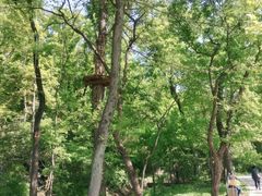 -WeLope紫金山探险公园