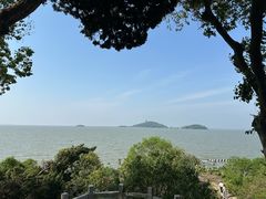 -上海市保健医疗中心