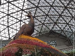 -花之城