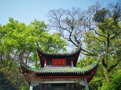 -黑色经典臭豆腐·湖南特产(太平街口店)