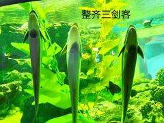 -海合安成都极地海洋公园