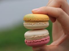 -PAUL LAFAYET 法式甜品(深圳湾万象城店)